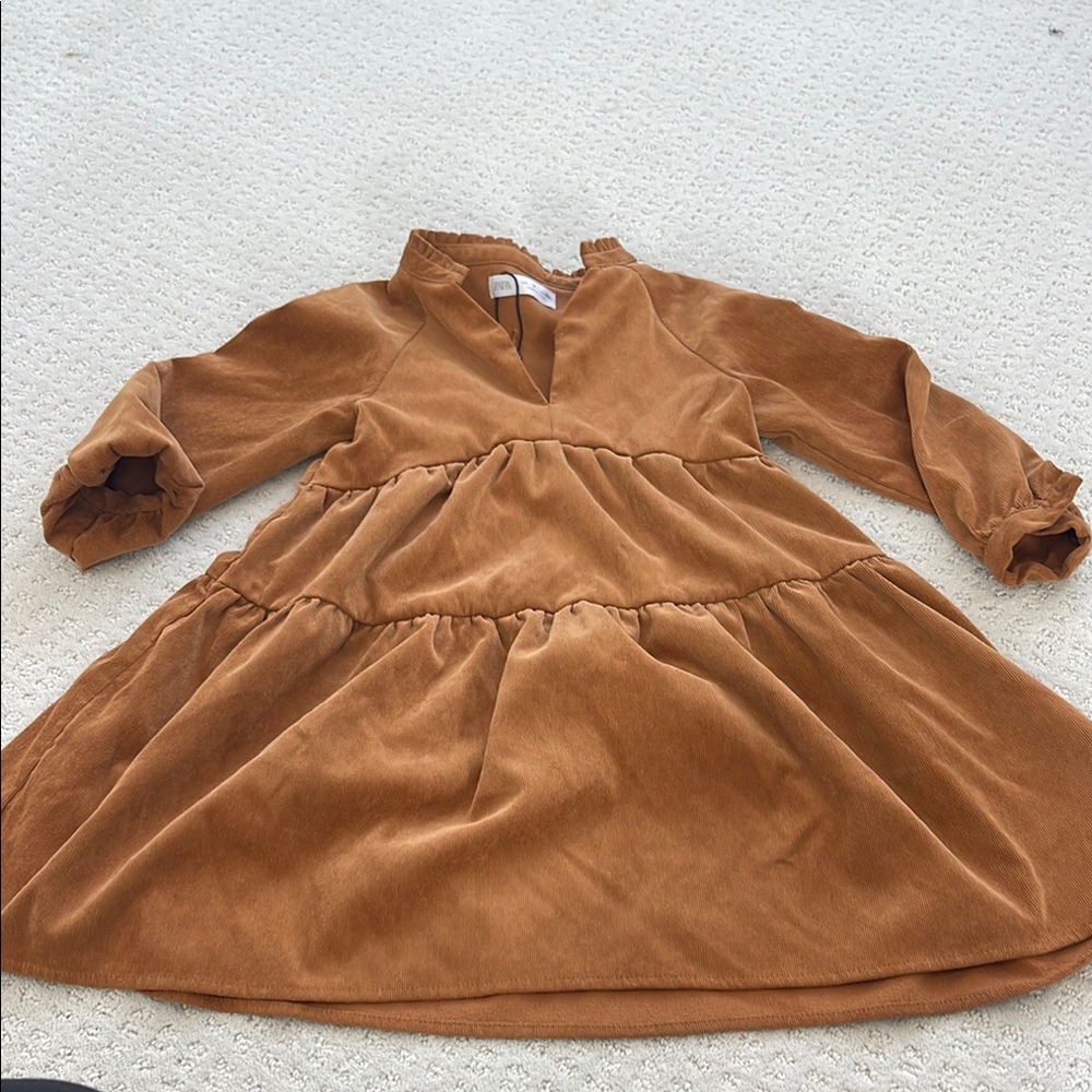 Zara Brown Kids Dress